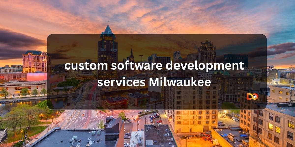 custom software development services milwaukee
